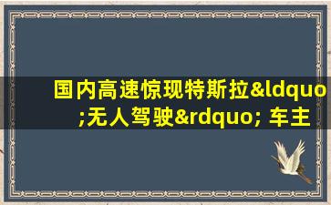 国内高速惊现特斯拉“无人驾驶” 车主竟在驾驶座睡着